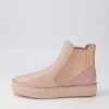 DJANGO & JULIETTE Famelia Cafe Pink Multi Chelsea Boots | Boots