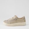 GABOR Amelia Muschel Beige Suede Sneakers | Comfort